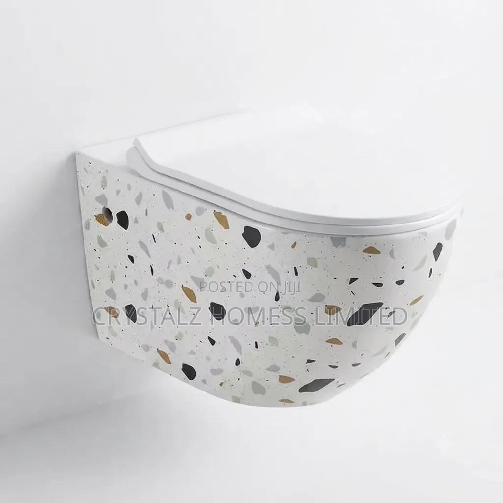 Concealed Cisternterrazzo Pattern Wall-Hung Toilet.
