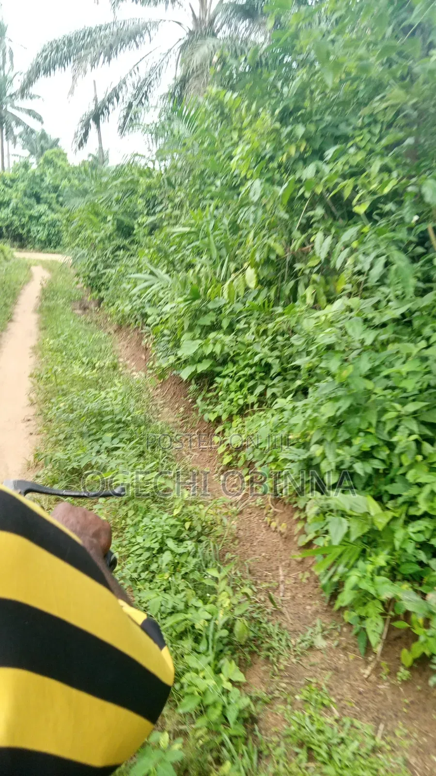 Distress Sale of Land for Sale at Ulakwo Etche
