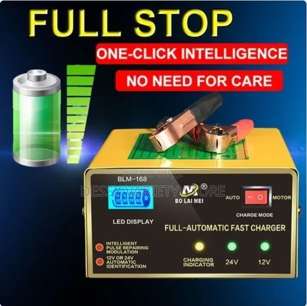 Intelligent Fast Pulse Car Battery Charger 12v/24v