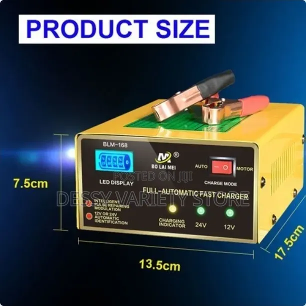 Intelligent Fast Pulse Car Battery Charger 12v/24v