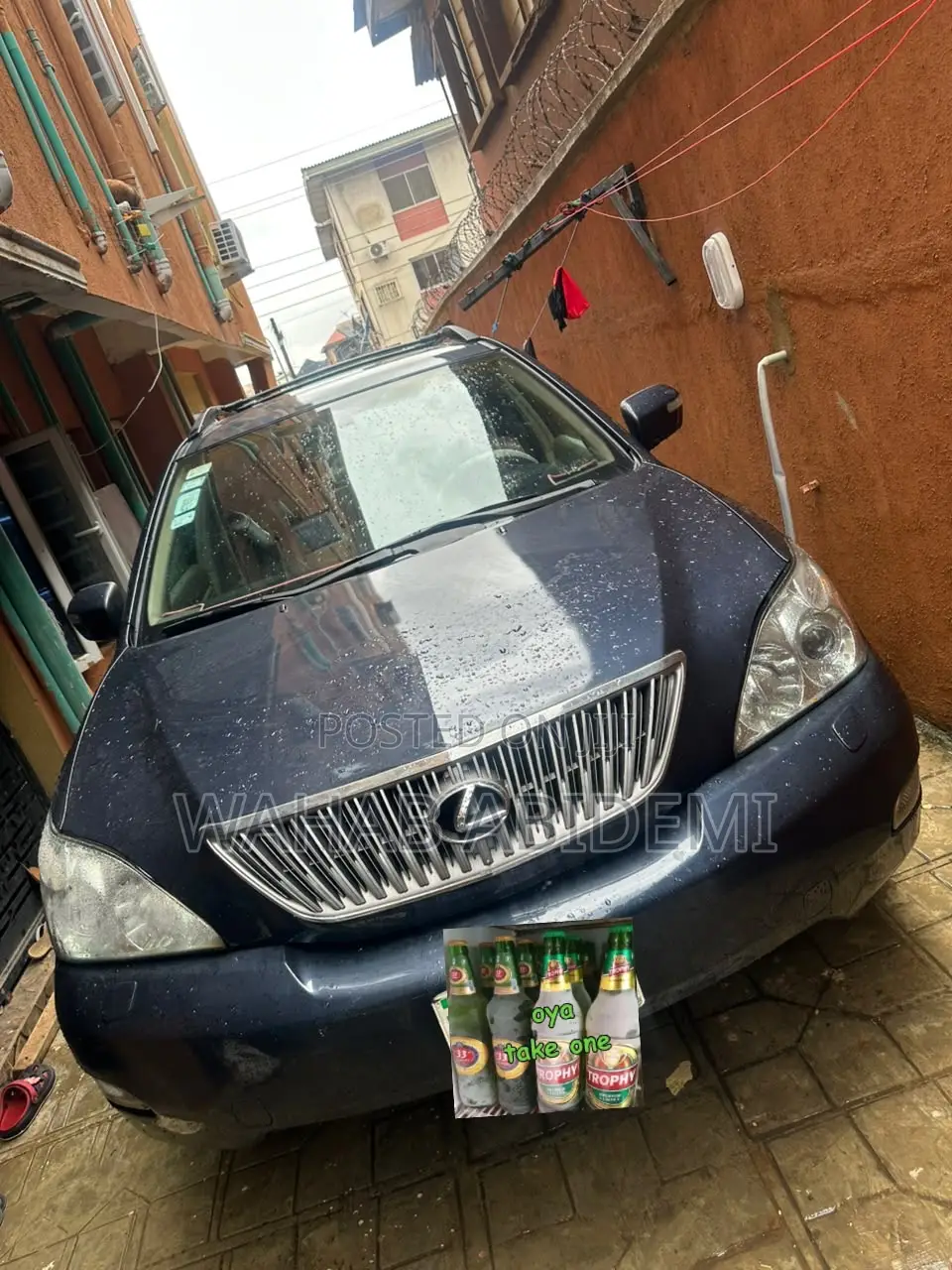 Lexus RX 330 2004 Blue