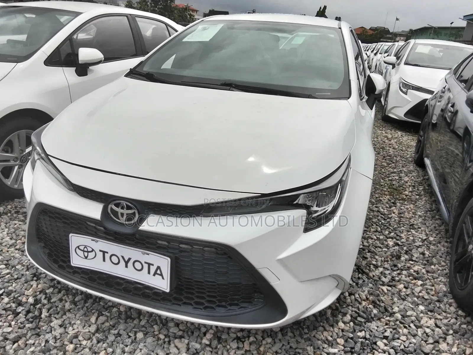 Toyota Corolla 2023 White