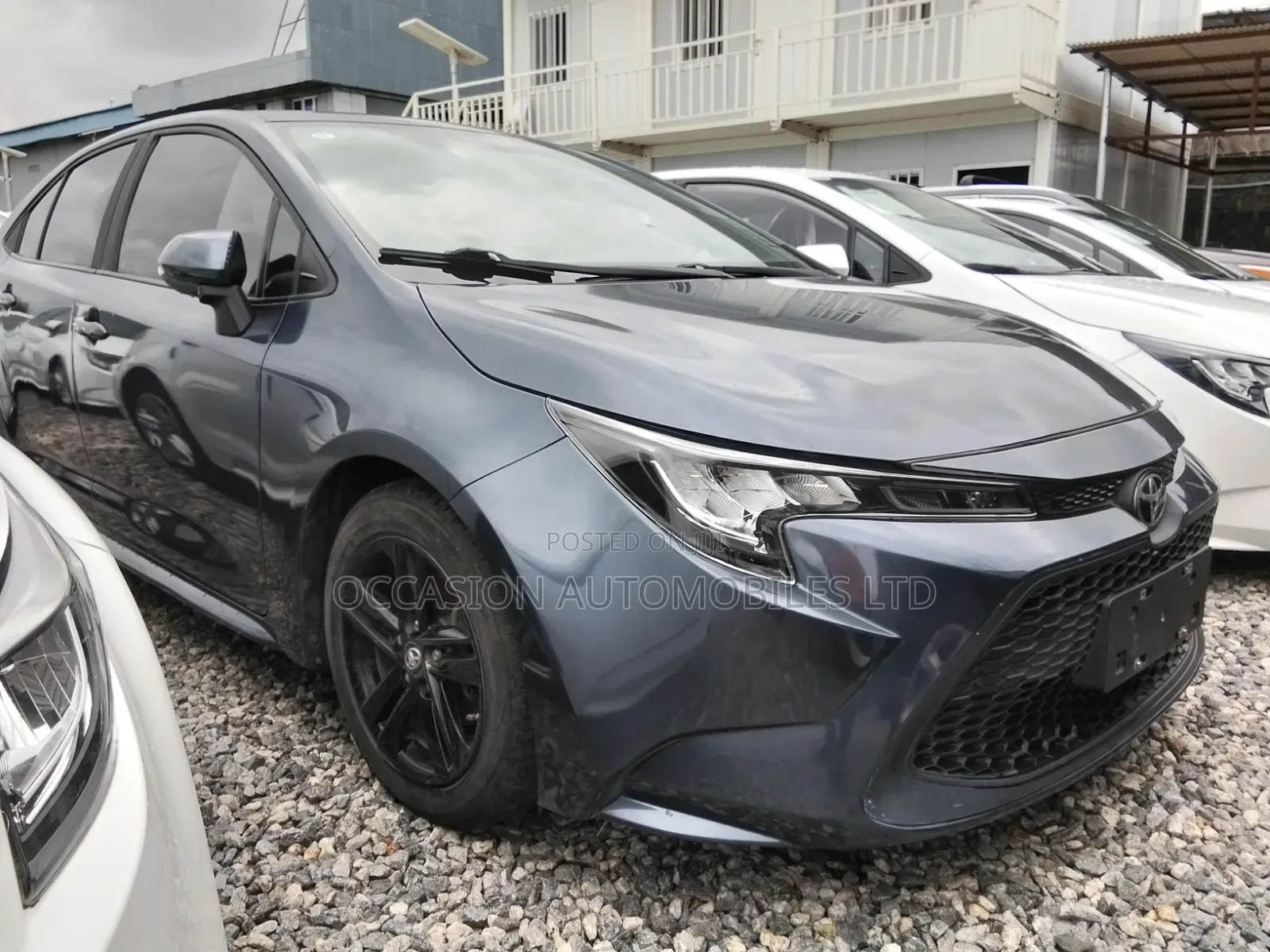 Toyota Corolla 2023 Gray