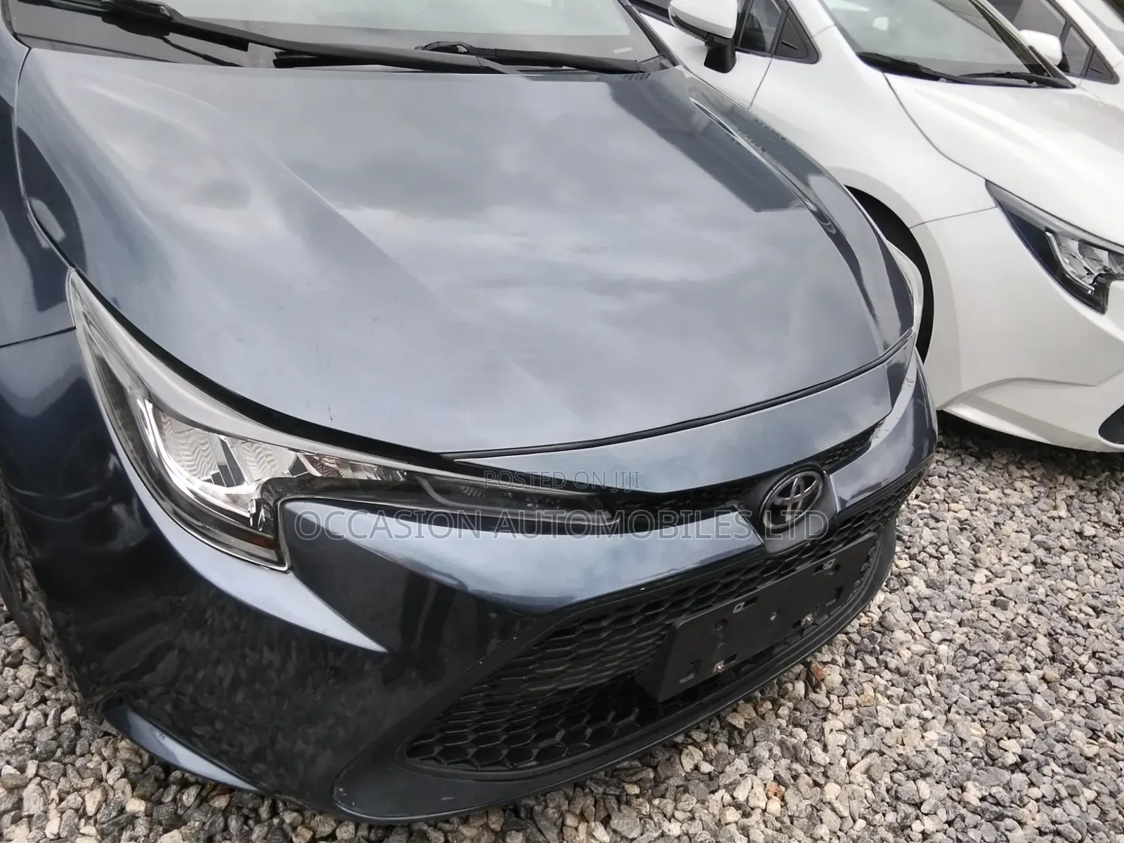 Toyota Corolla 2023 Gray
