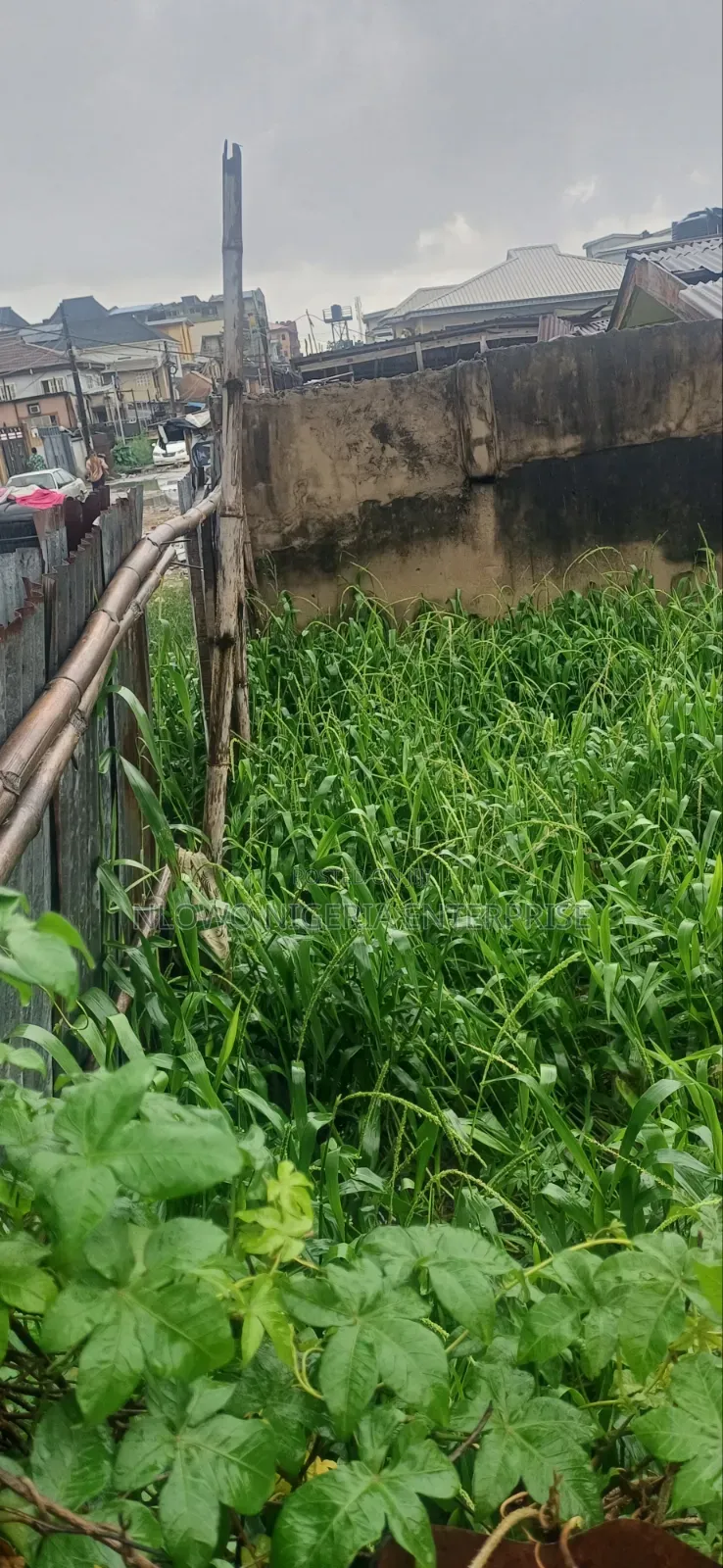 For Sale Half Plot of Land at Ajoke Salako Street Ifako Gbagada Lagos