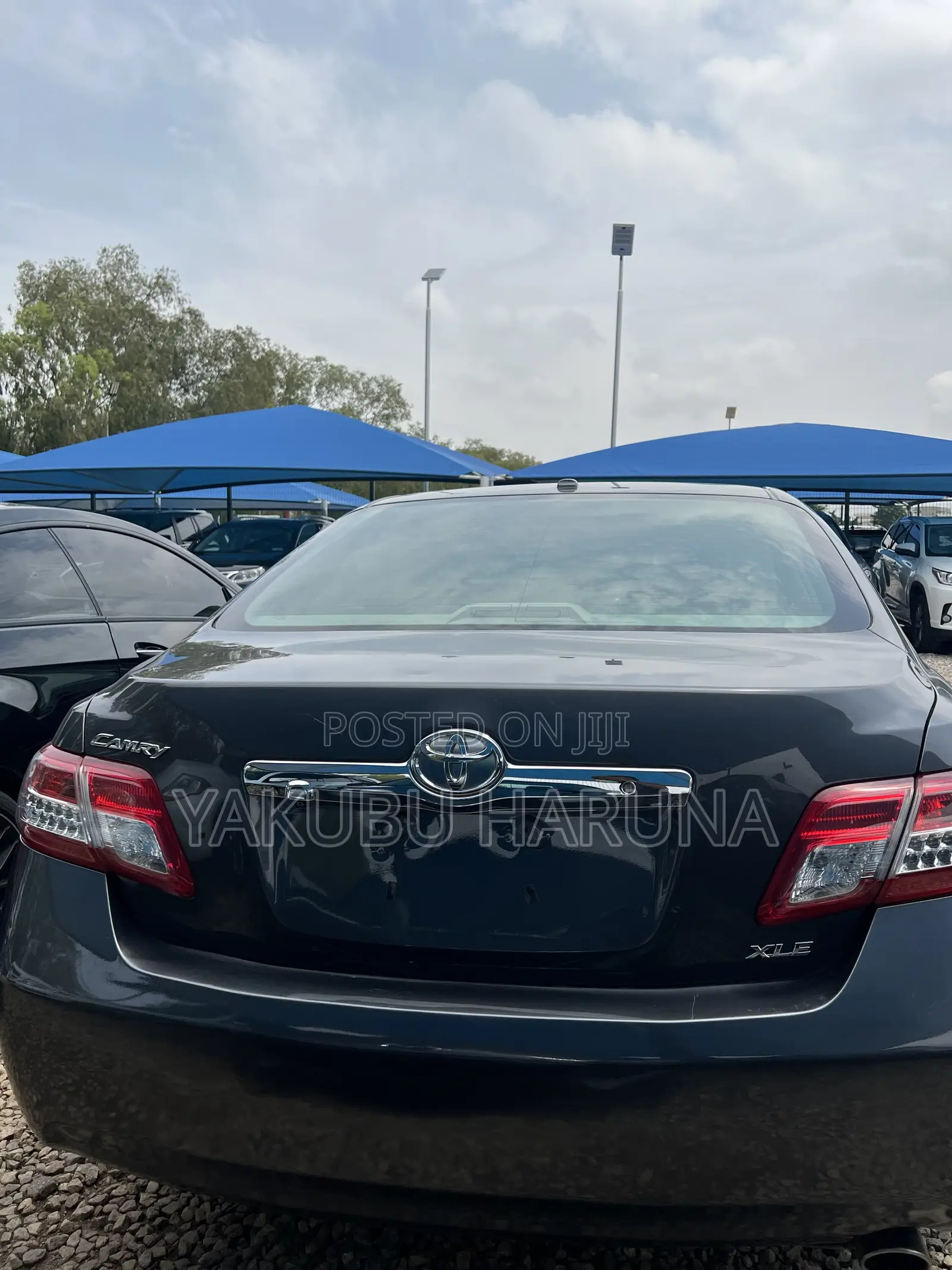 Toyota Camry XLE 4dr Sedan (2.5L 4cyl 6A) 2011 Green