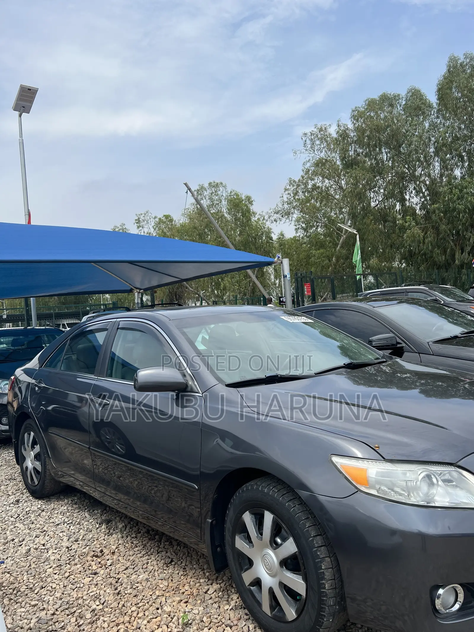 Toyota Camry XLE 4dr Sedan (2.5L 4cyl 6A) 2011 Green