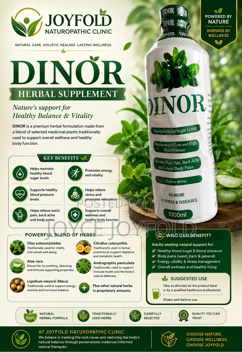 Dinor Herbal : Blood Sugar, Blood Pressure. Back Ache and Waste Pain