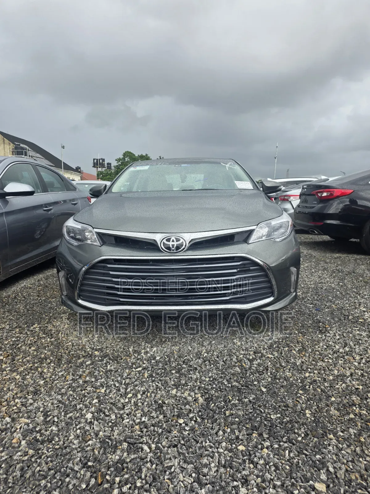 Toyota Avalon XLE Premium 4dr Sedan (3.5L 6cyl 6A) 2014 Green