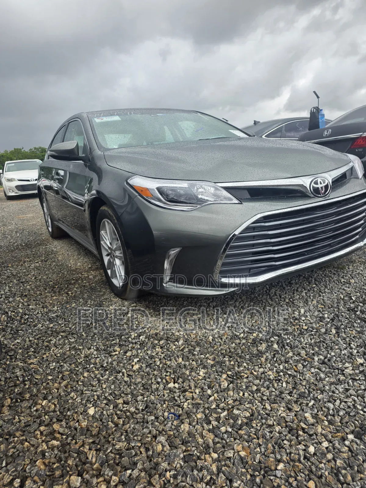 Toyota Avalon XLE Premium 4dr Sedan (3.5L 6cyl 6A) 2014 Green