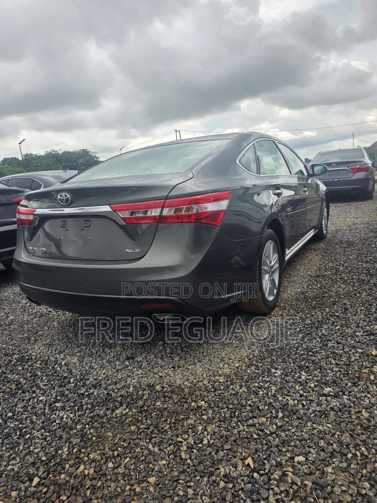 Toyota Avalon XLE Premium 4dr Sedan (3.5L 6cyl 6A) 2014 Green