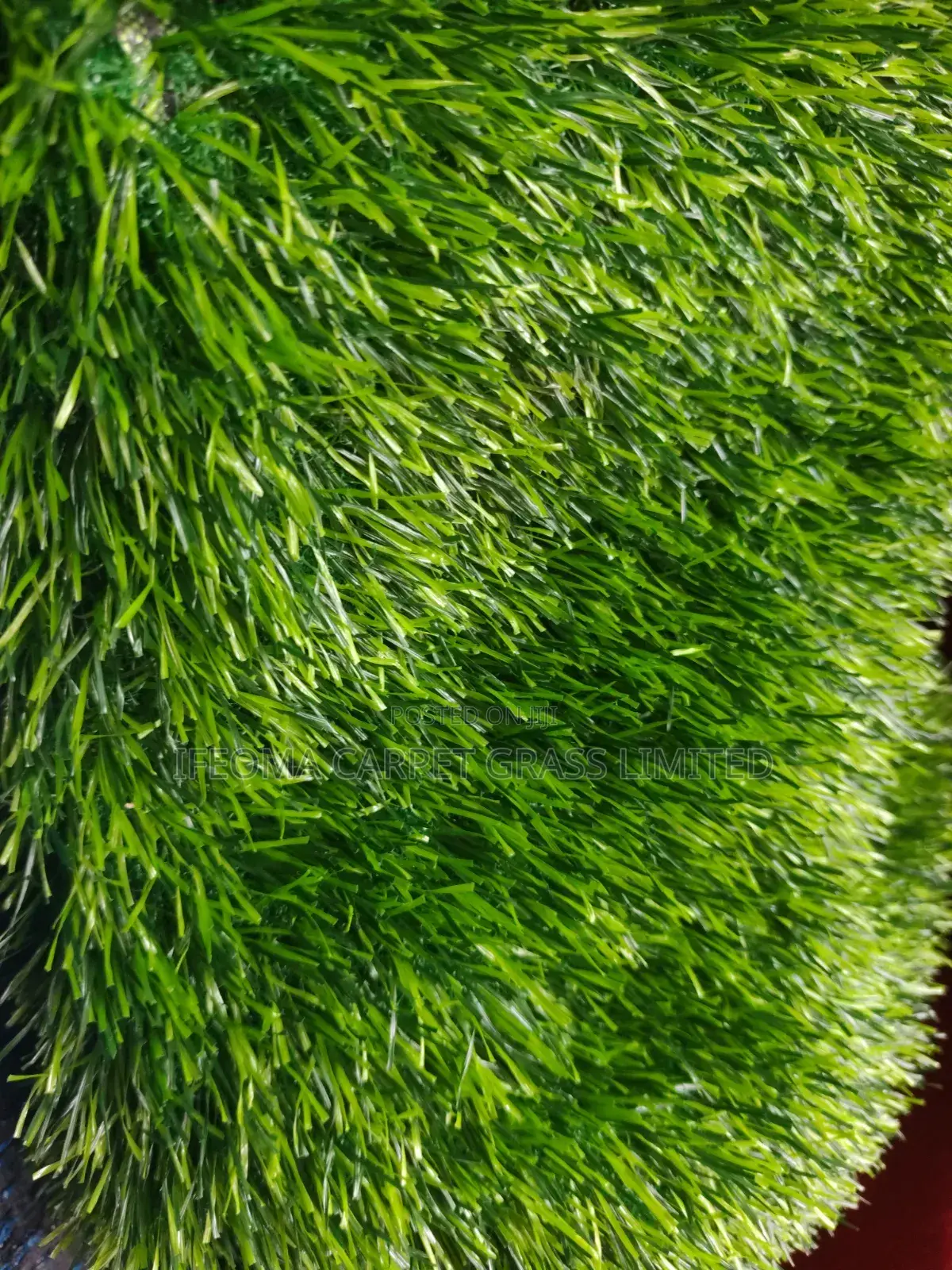 Artificial Grass. 50 Mm