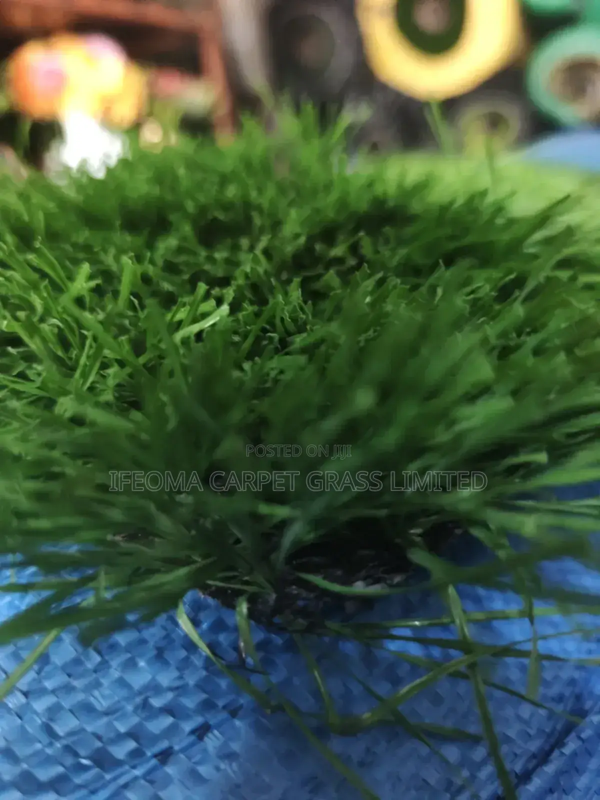 Artificial Grass. 50 Mm