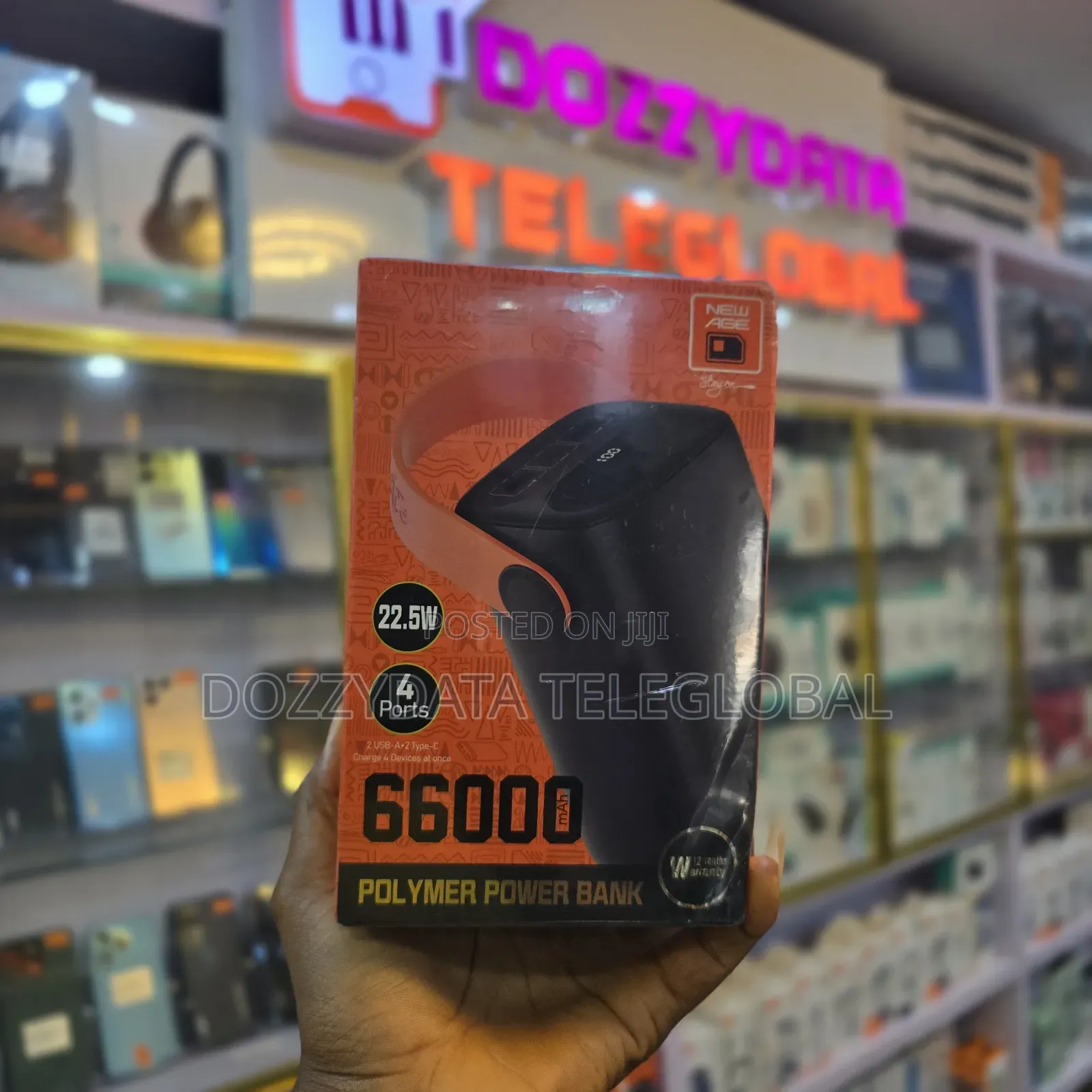 Newage 66000mah Powerbank