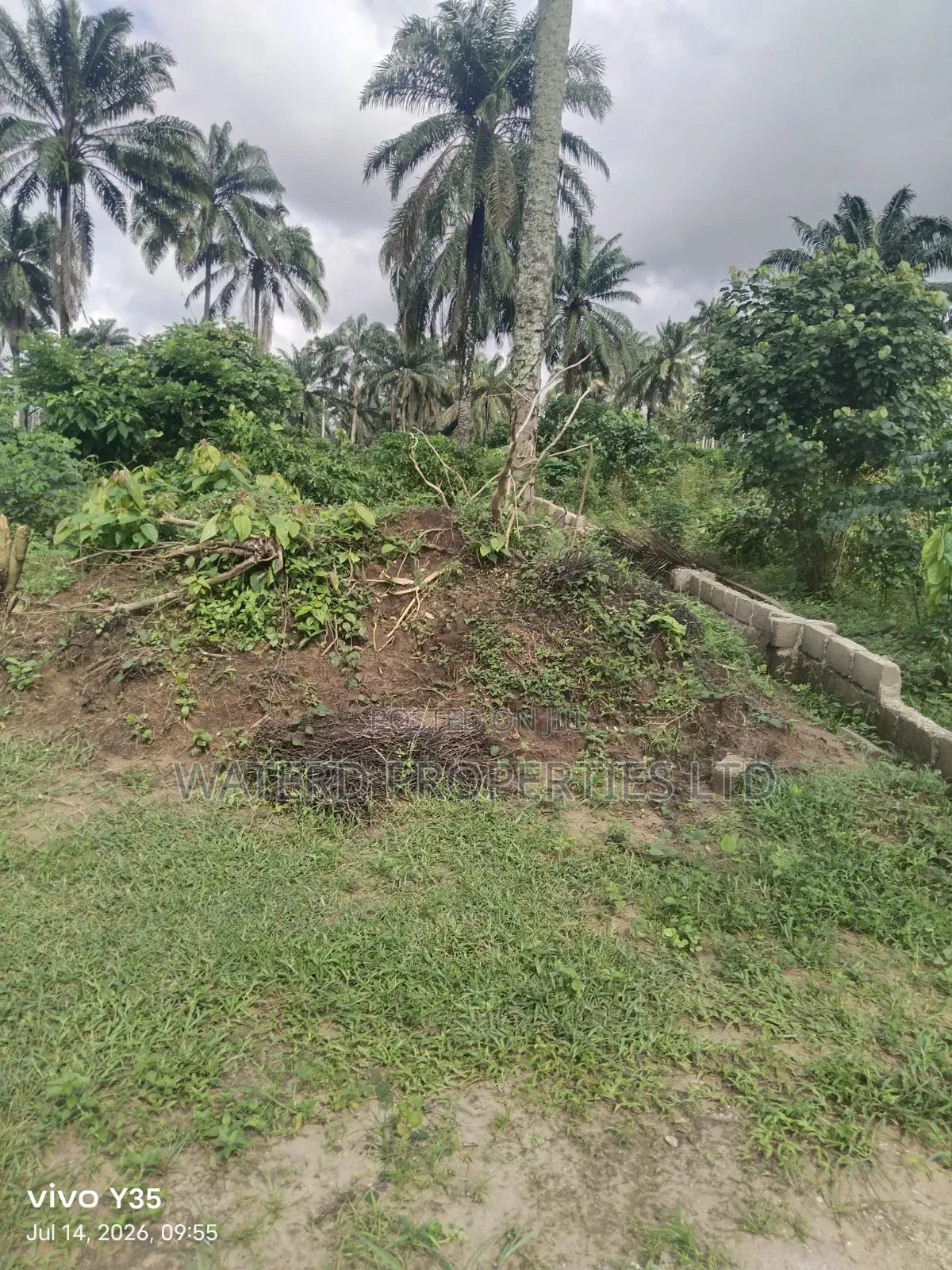 15 Pilots of Land for Sale Off the Ring Road