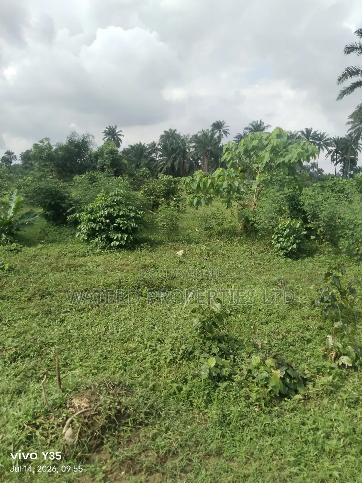 15 Pilots of Land for Sale Off the Ring Road