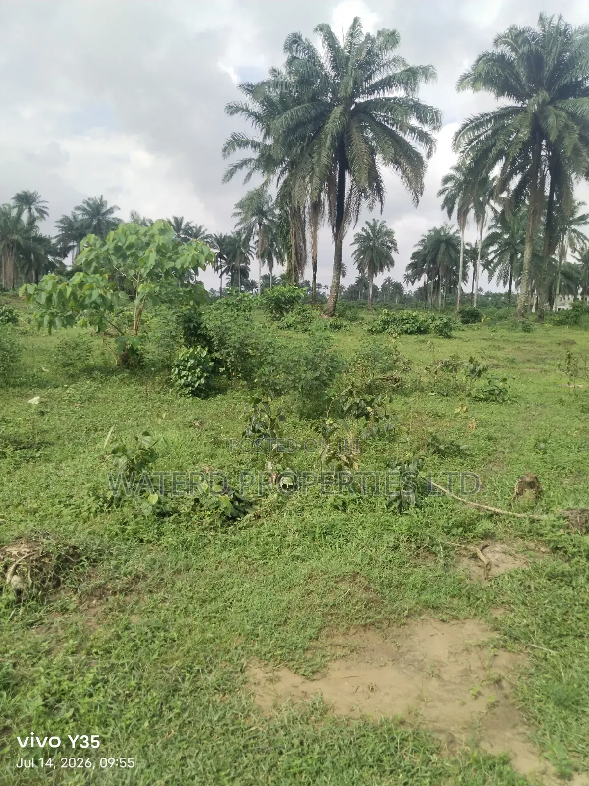 15 Pilots of Land for Sale Off the Ring Road