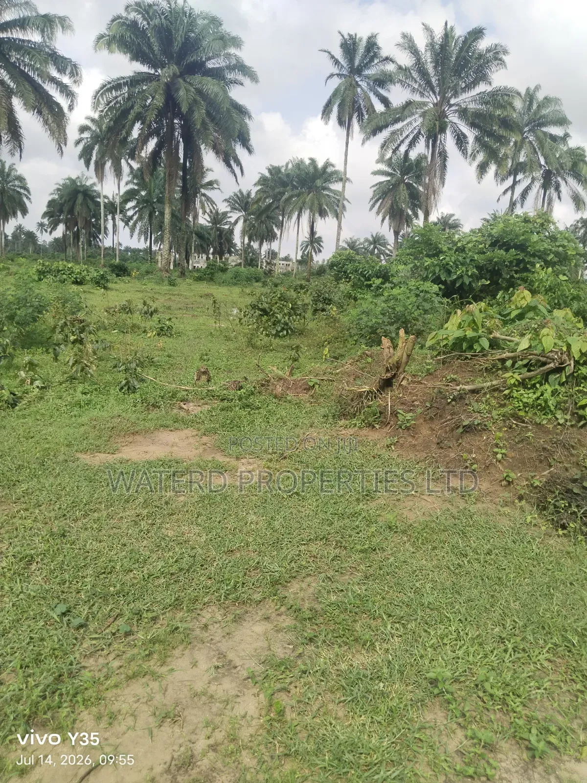 15 Pilots of Land for Sale Off the Ring Road
