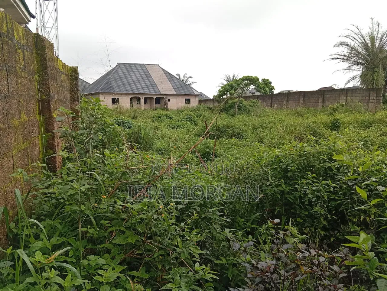1600sqm Land With 2 Units of 2BR Bungalow, Idoro Road, Uyo, Akwa Ibom
