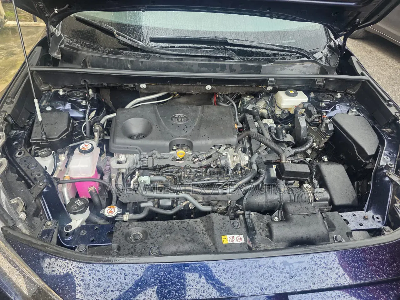 Toyota RAV4 2024 Blue