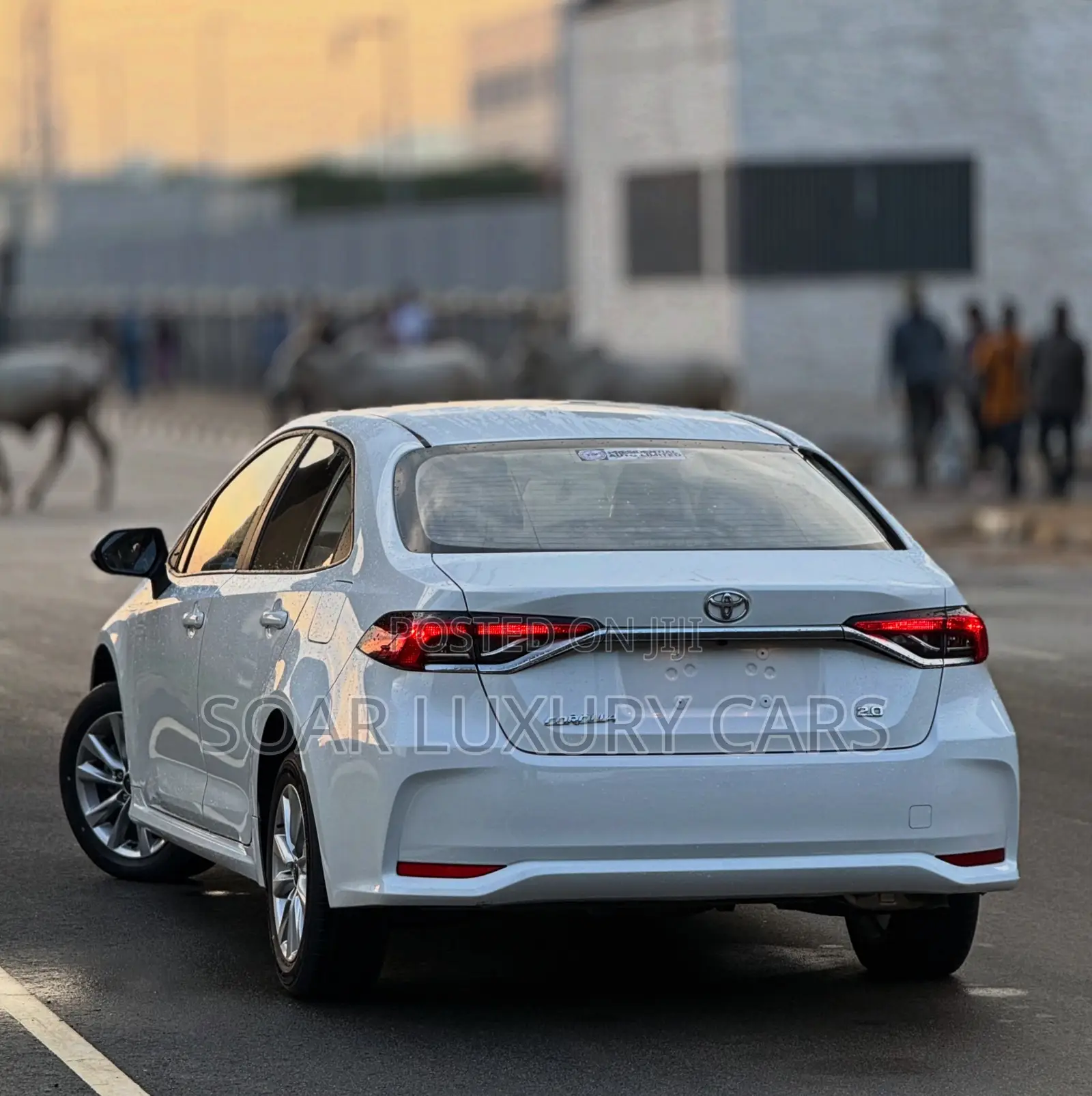 New Toyota Corolla 2025 White