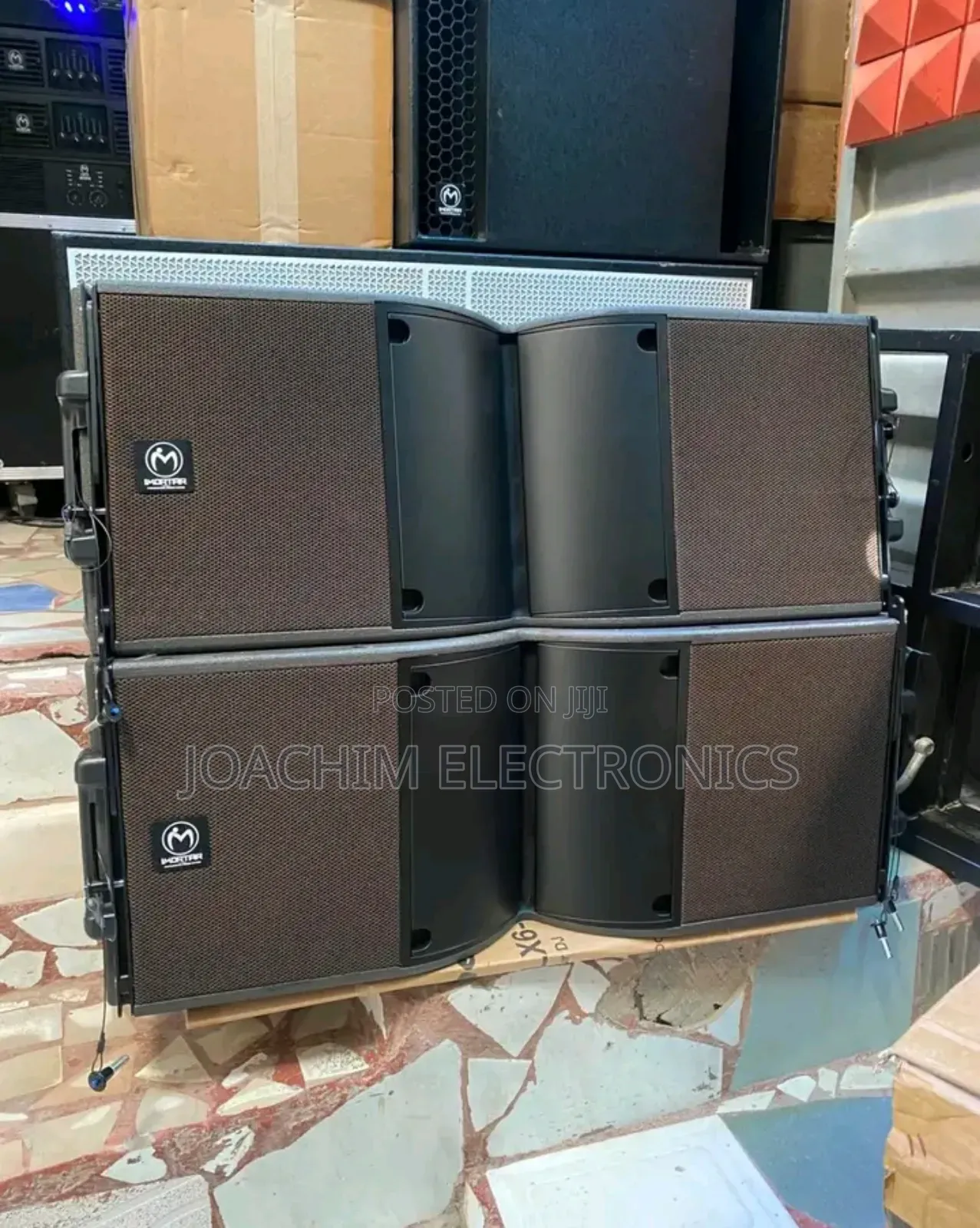 Immortal Professional 10 Inches Line Array SPK
