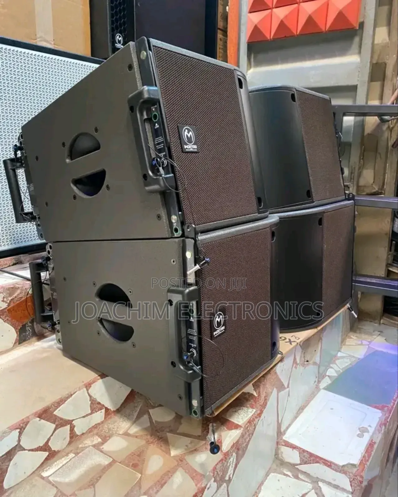 Immortal Professional 10 Inches Line Array SPK