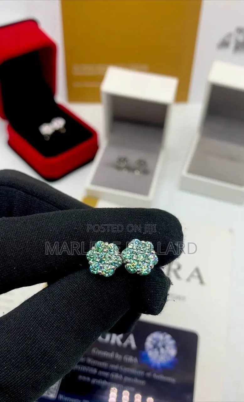 VVS Moissanite 2CT 12mm Earrings