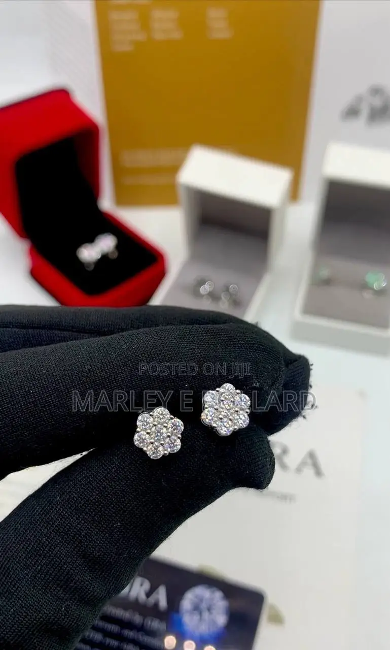 VVS Moissanite 2CT 12mm Earrings