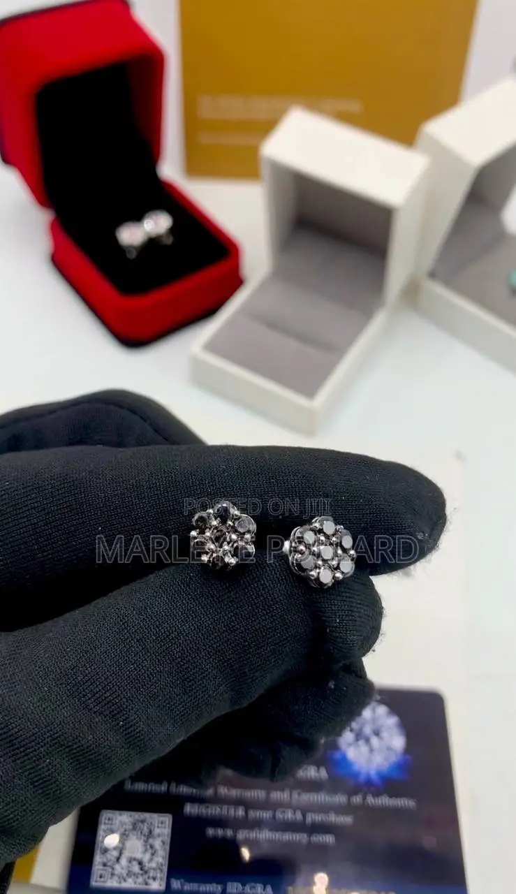VVS Moissanite 2CT 12mm Earrings