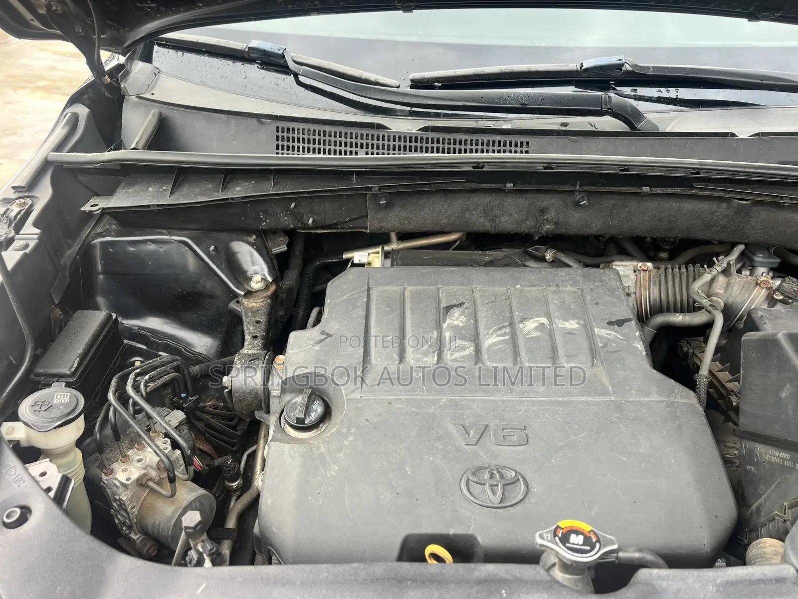Toyota Highlander XLE 4dr SUV (3.5L 6cyl 6A) 2014 Black