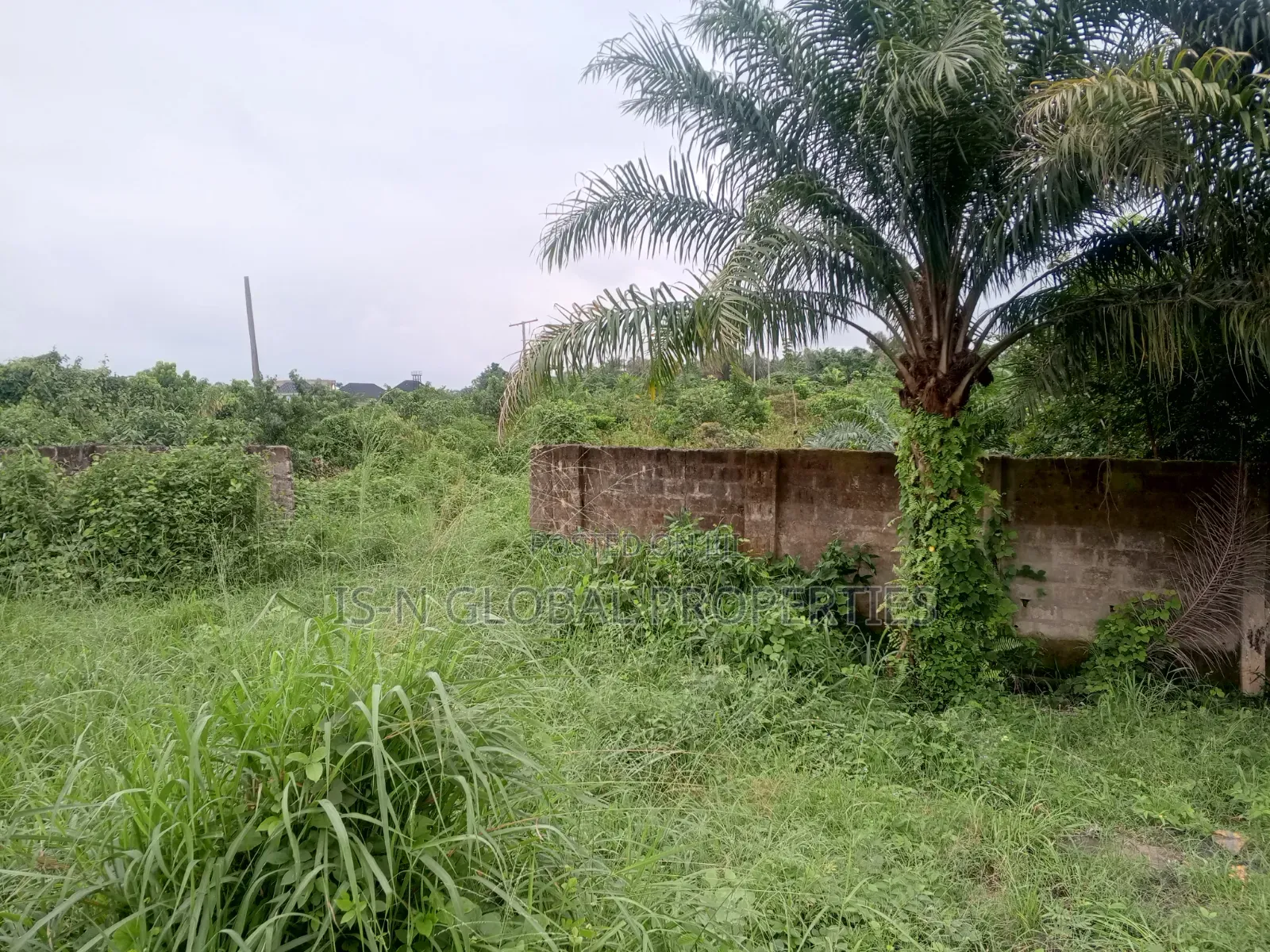 Land for Sale