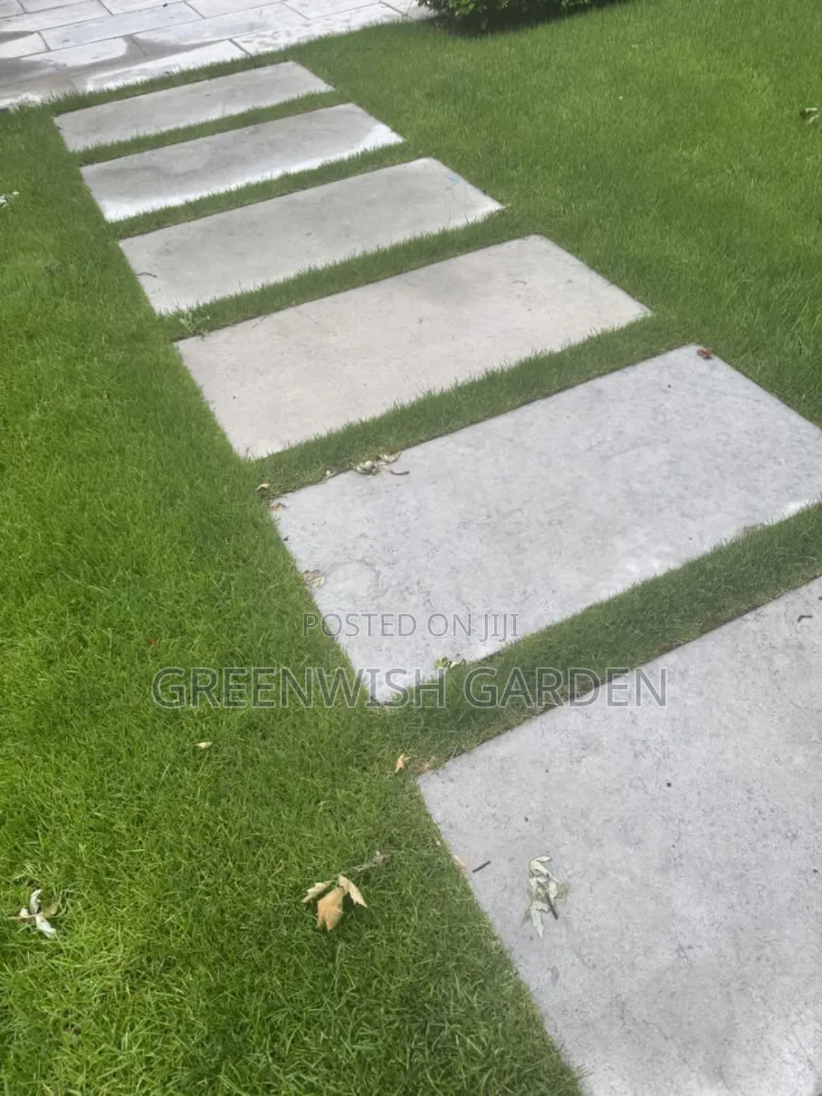Paving Stones and Garden