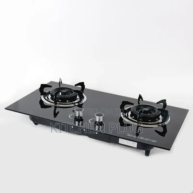 2 Burners Inbuilt/Cabinet/Table Top Gas Stove
