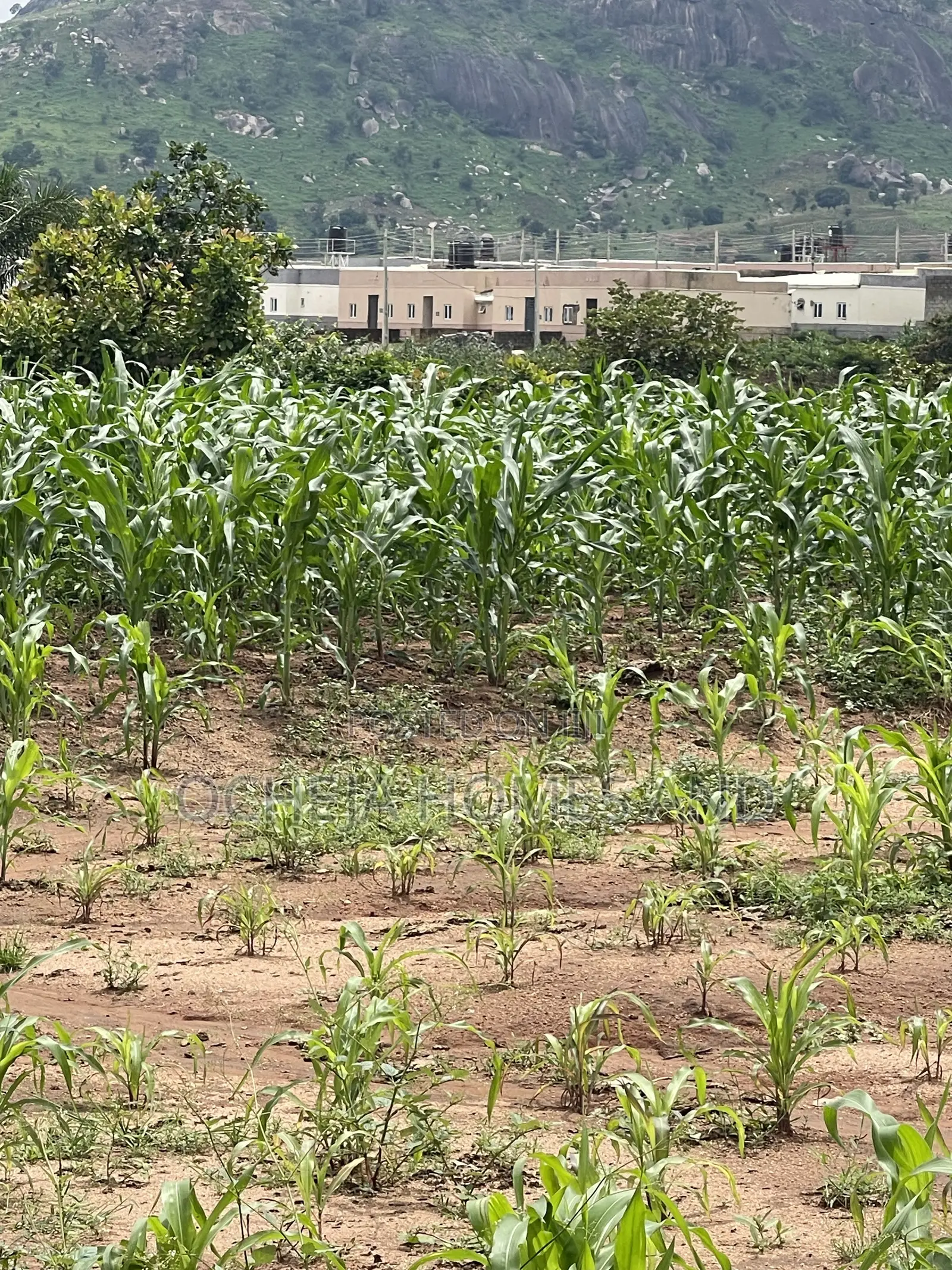 Kubwa Land - (Behind Brian’s and Hammers Bungalow Estate )