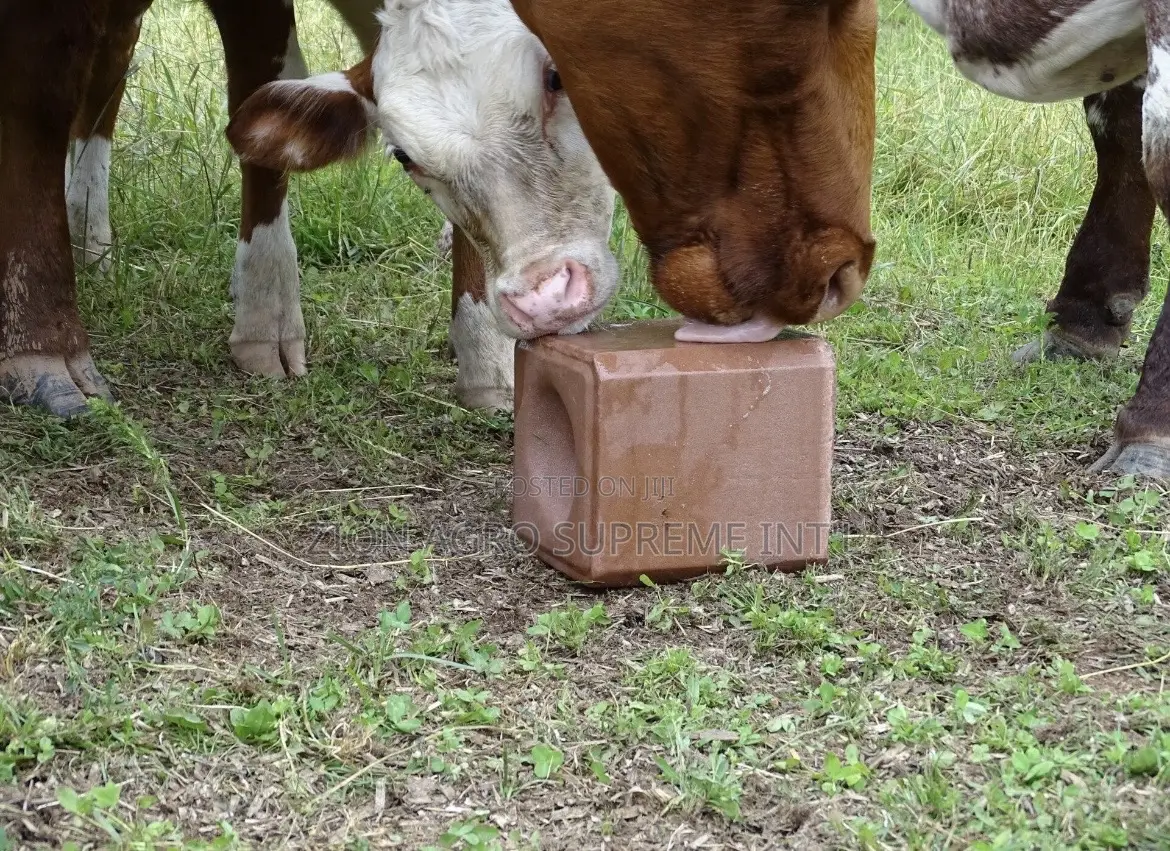 Mineral Salt Lick