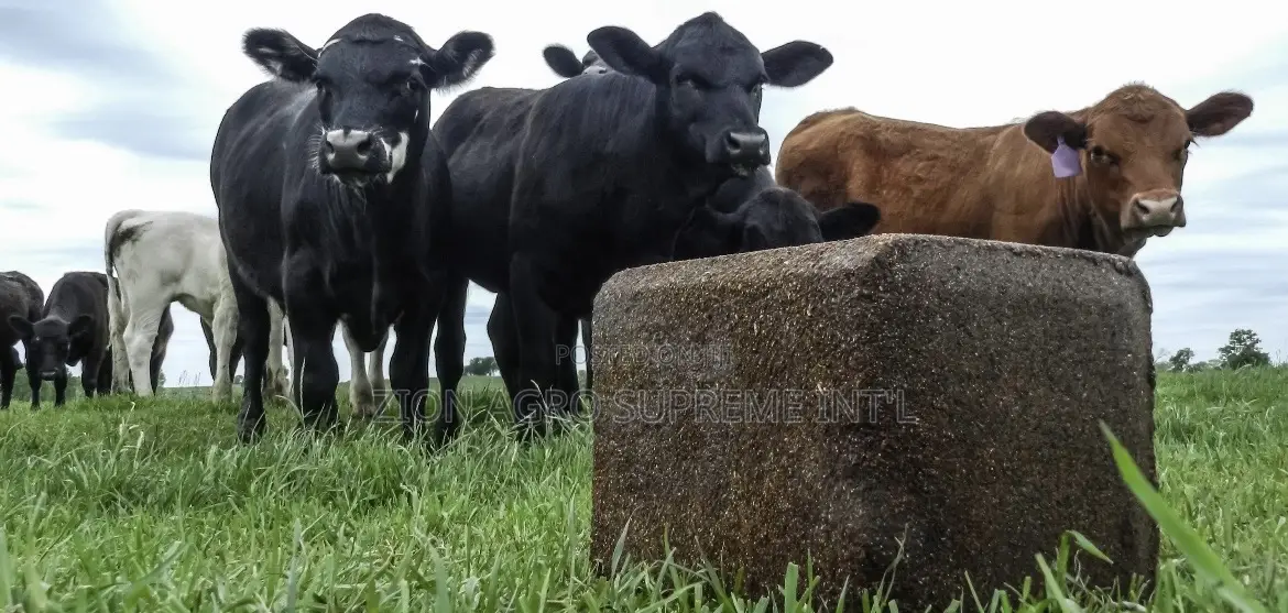 Mineral Salt Lick