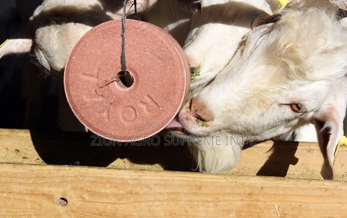 Mineral Salt Lick