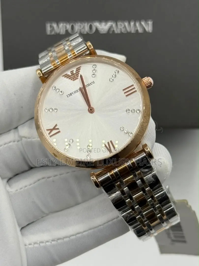 Emporio and Armani Quality Luxury Female Stainless Steel Wristwatch