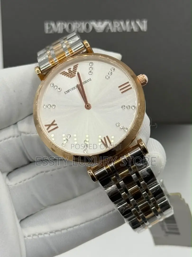 Emporio and Armani Quality Luxury Female Stainless Steel Wristwatch