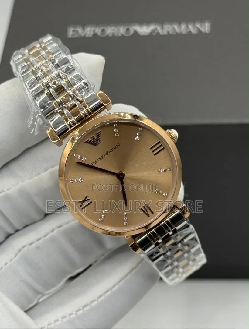 Emporio and Armani Quality Luxury Female Stainless Steel Wristwatch