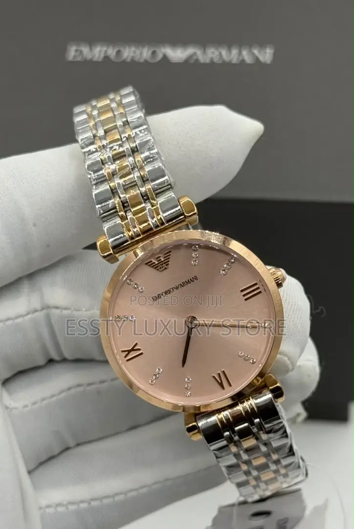 Emporio and Armani Quality Luxury Female Stainless Steel Wristwatch