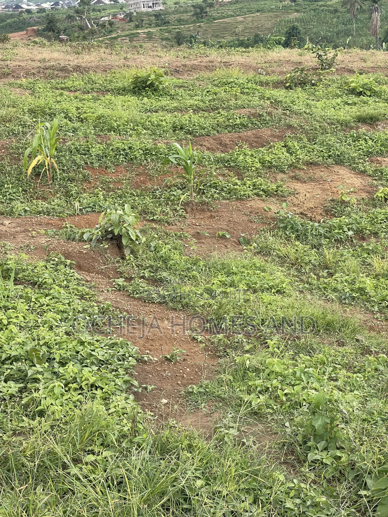 Chikakore Land for Sale