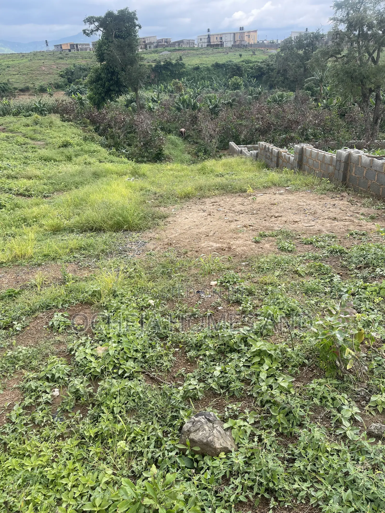 Chikakore Land for Sale