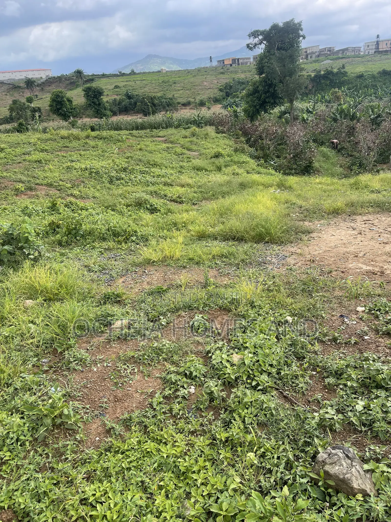 Chikakore Land for Sale