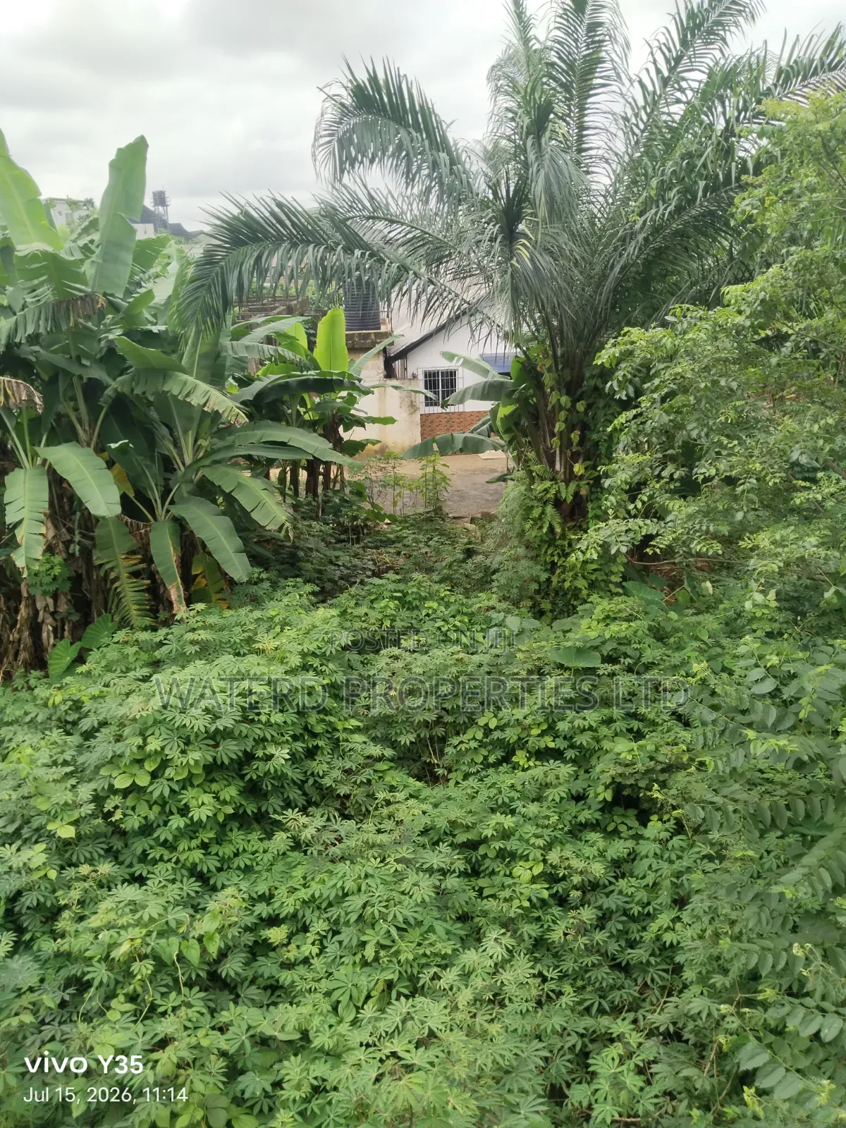 Buy and Build One Plot of Land