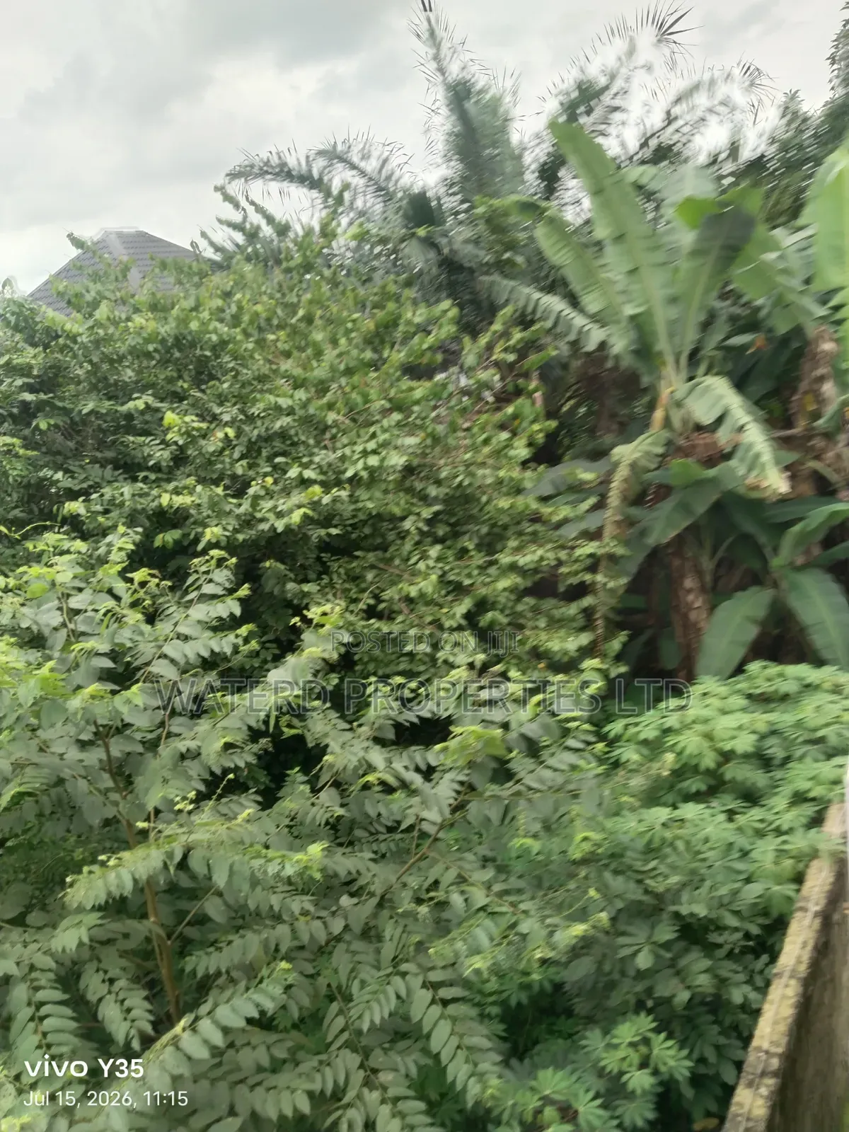 Buy and Build One Plot of Land