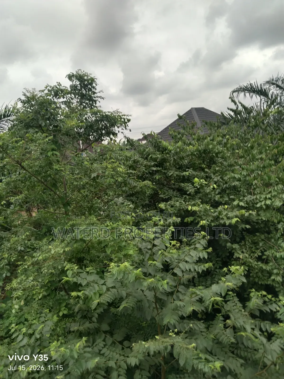 Buy and Build One Plot of Land