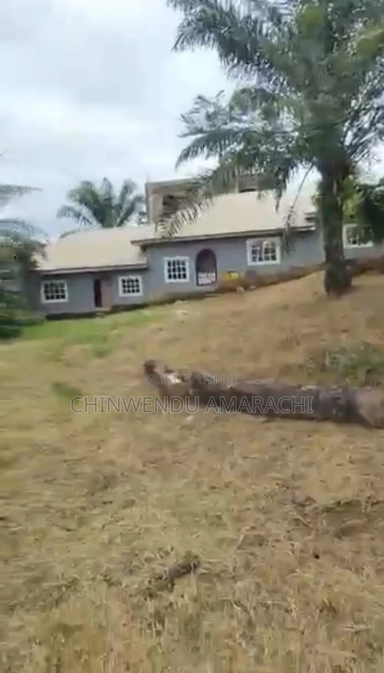 3bdrm Bungalow in Tonifrank Cornrows for sale