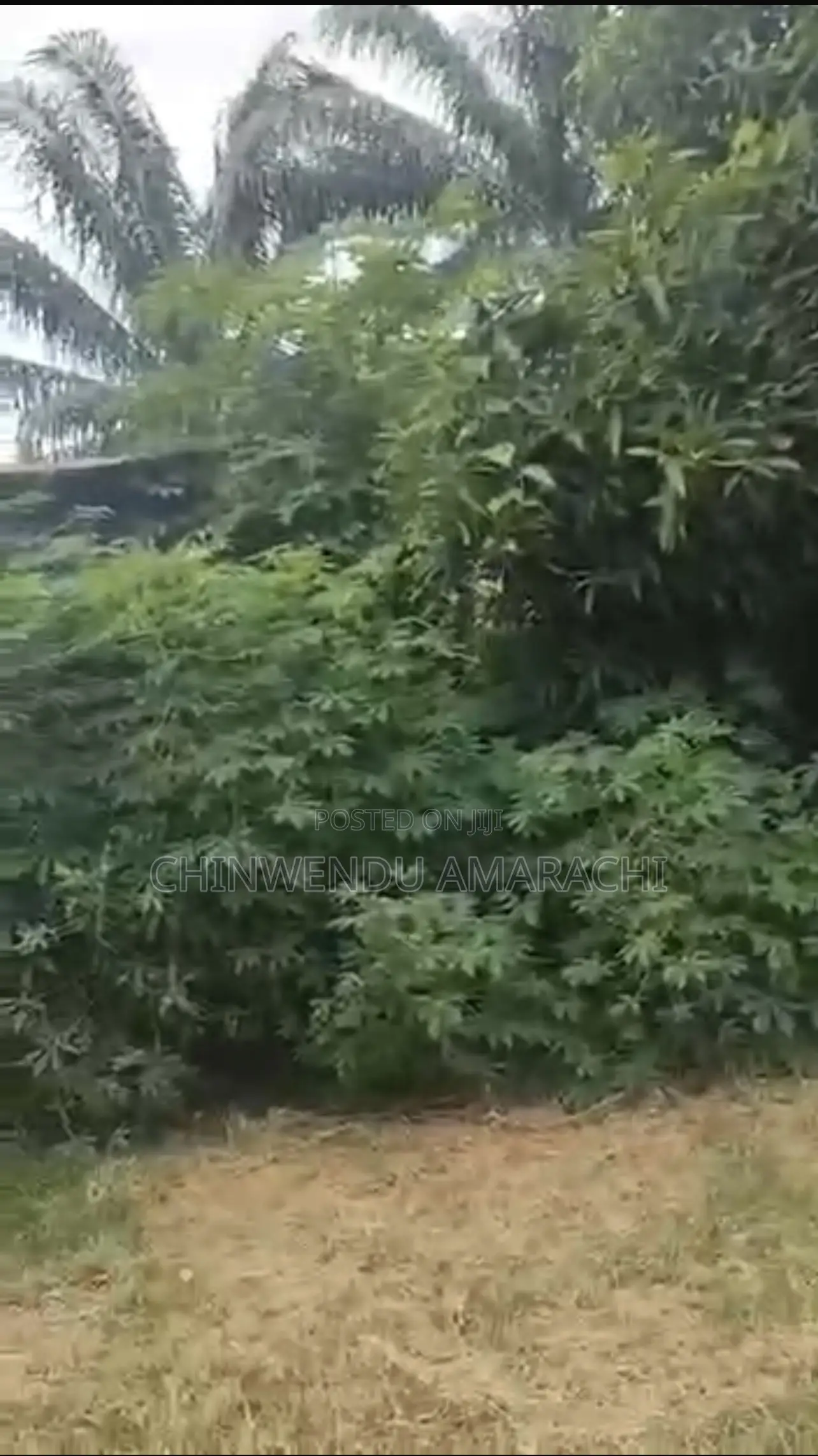 3bdrm Bungalow in Tonifrank Cornrows for sale